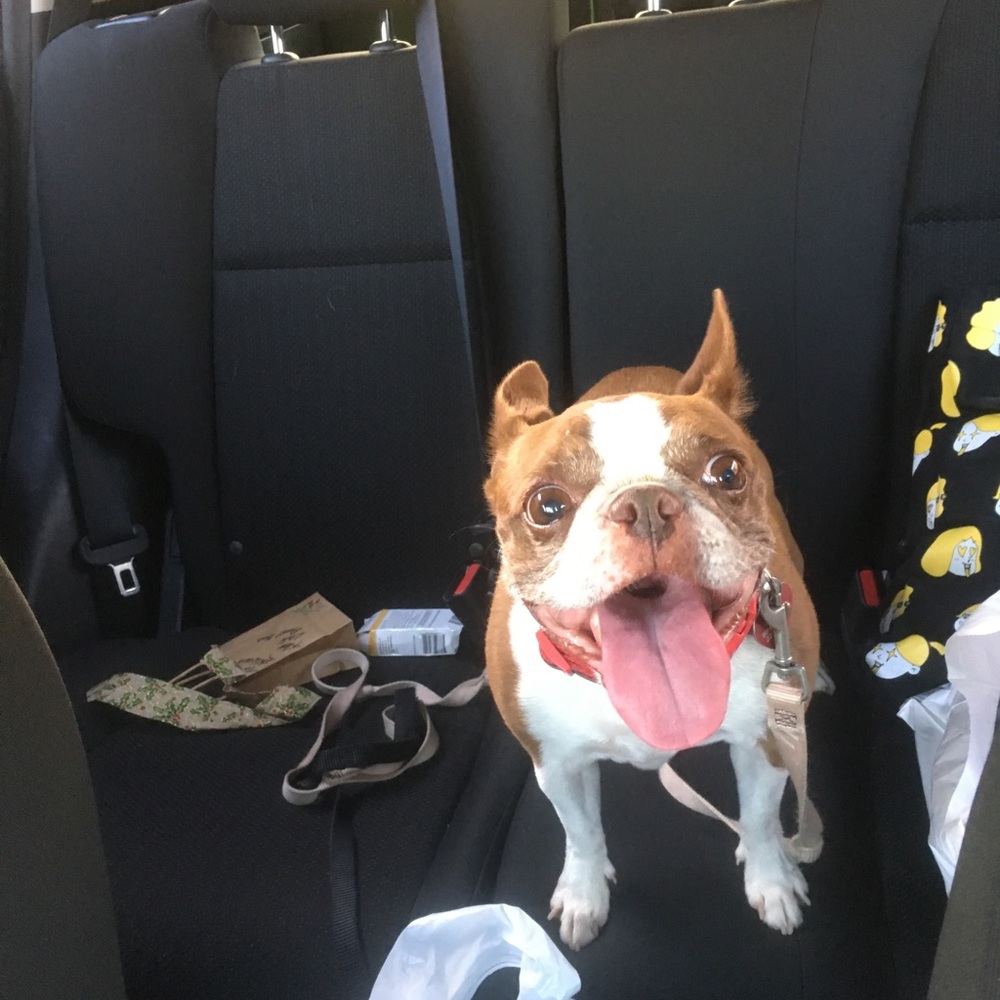 Meet your Posher, Katrina